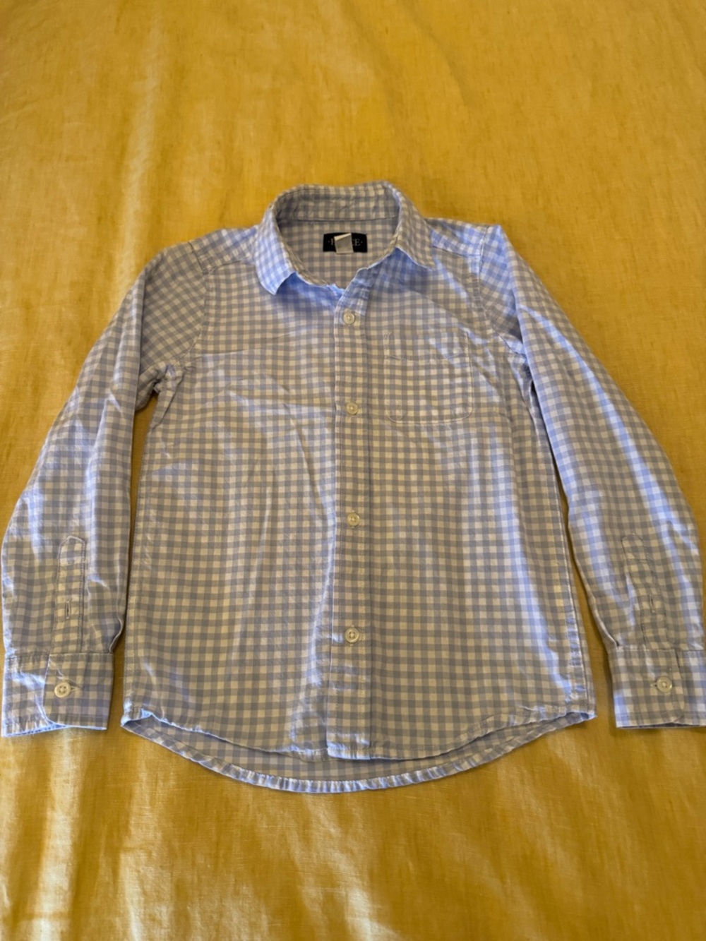 The Children's Place Blue Gingham Button-Down Shirt